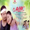 About O Aina Song